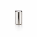 Neodymium Cylinder Magnet - D2.7mm x 4mm | N50