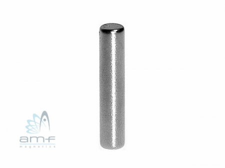 Neodymium Cylinder 3 x 20mm